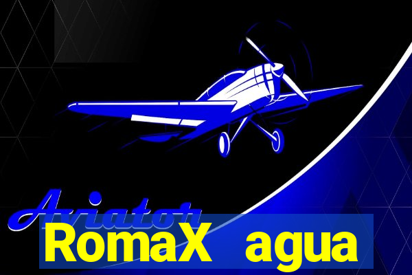 RomaX agua sanitaria fispq agua sanitaria romax